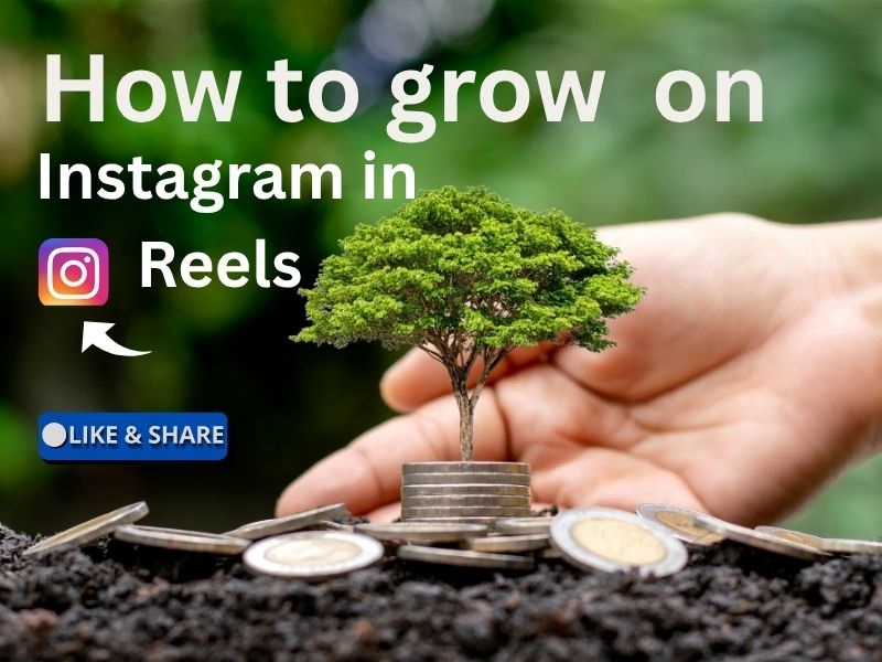 How to grow on Instagram in Reels
